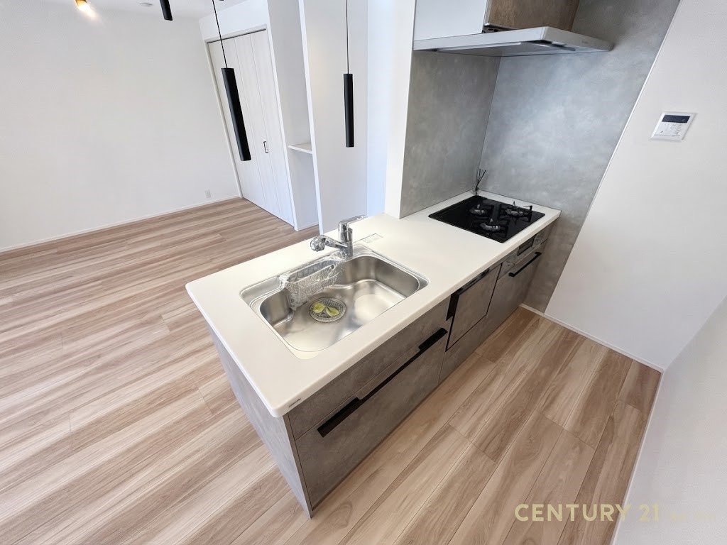 ��ʌ��������܎s��{��V����1���ڂ̒��Ã}���V�����̂��̑�